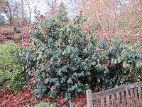 Free Image Hosting at www.ImageShack.us