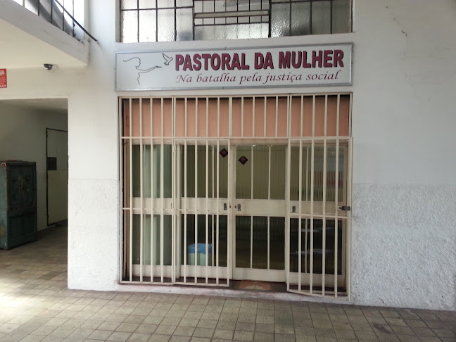 Diálogos pela Liberdade -Rede Oblata