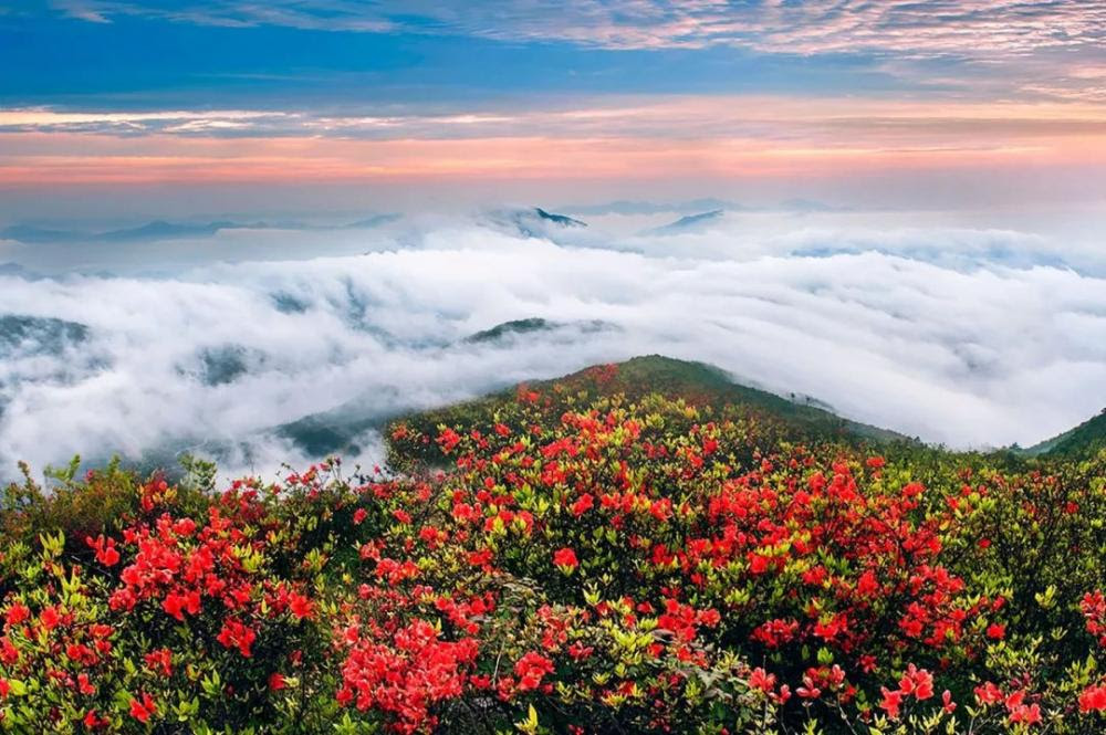 Người mẹ được tận hưởng những khoảnh khắc tươi đẹp, nên thơ của thiên nhiên. Người mẹ được tận hưởng những khoảnh khắc tươi đẹp, nên thơ của thiên nhiên.