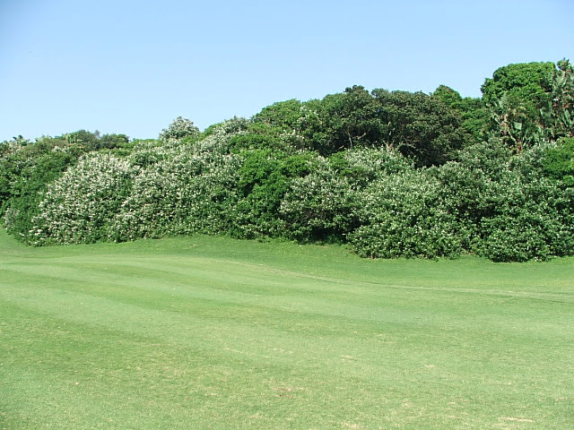 1st hole