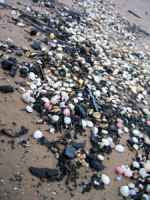 spazzatura+spiaggia