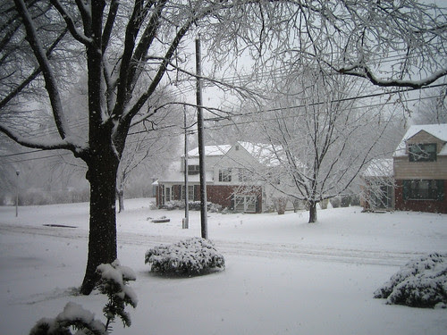 Spring Snow