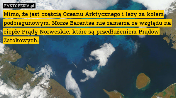 Mimo, że jest częścią Oceanu Arktycznego – Mimo, że jest częścią Oceanu Arktycznego i leży za kołem podbiegunowym, Morze Barentsa nie zamarza ze względu na ciepłe Prądy Norweskie, które są przedłużeniem Prądów Zatokowych. 