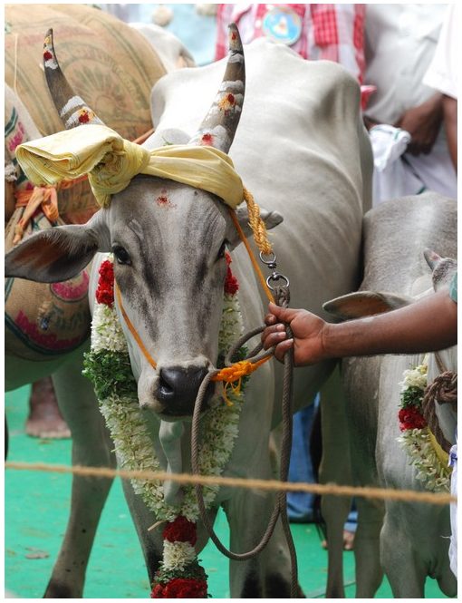 கொங்கதேசம்-தென்கரை நாடு வேணாவுடையார் பட்டாபிஷேகத்தில்
