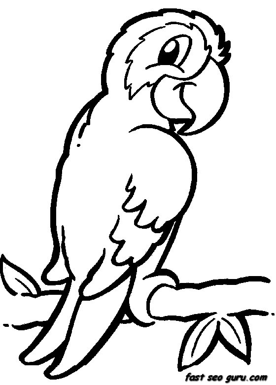 Animal Colouring Pages Free Coloring And Drawing