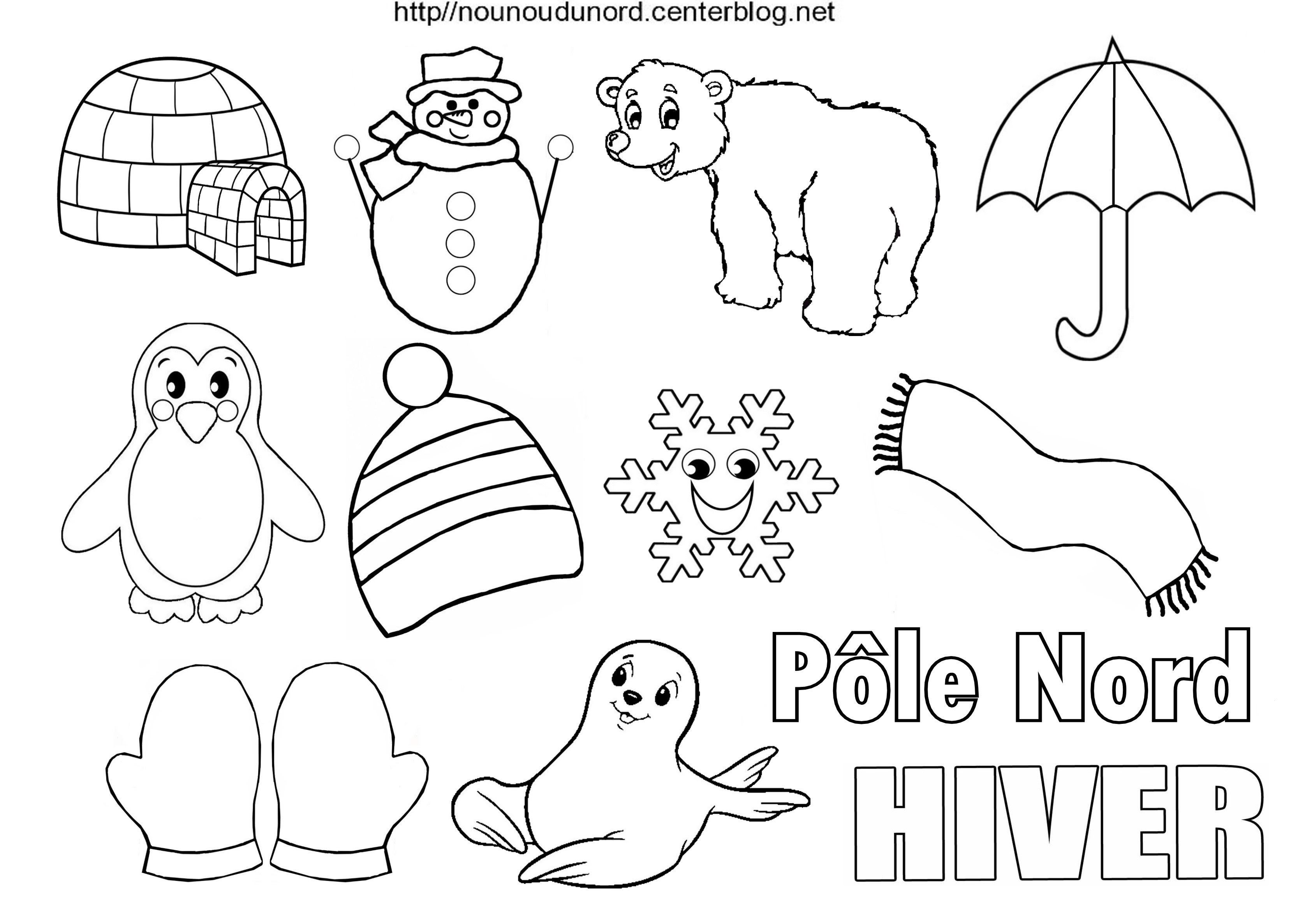 Élégant Coloriages Animaux Du Pole nord  30000 ++ collections de pages