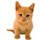kitten