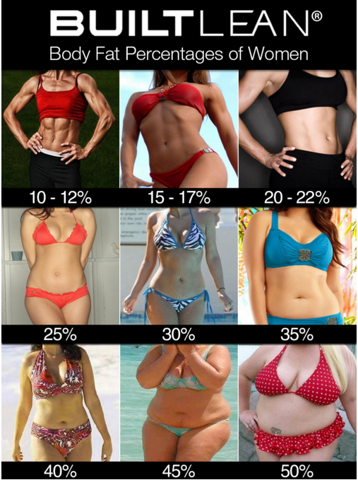 50 代 女性 体 脂肪 率