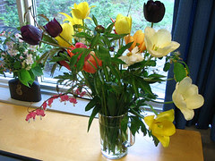 bluger flowers