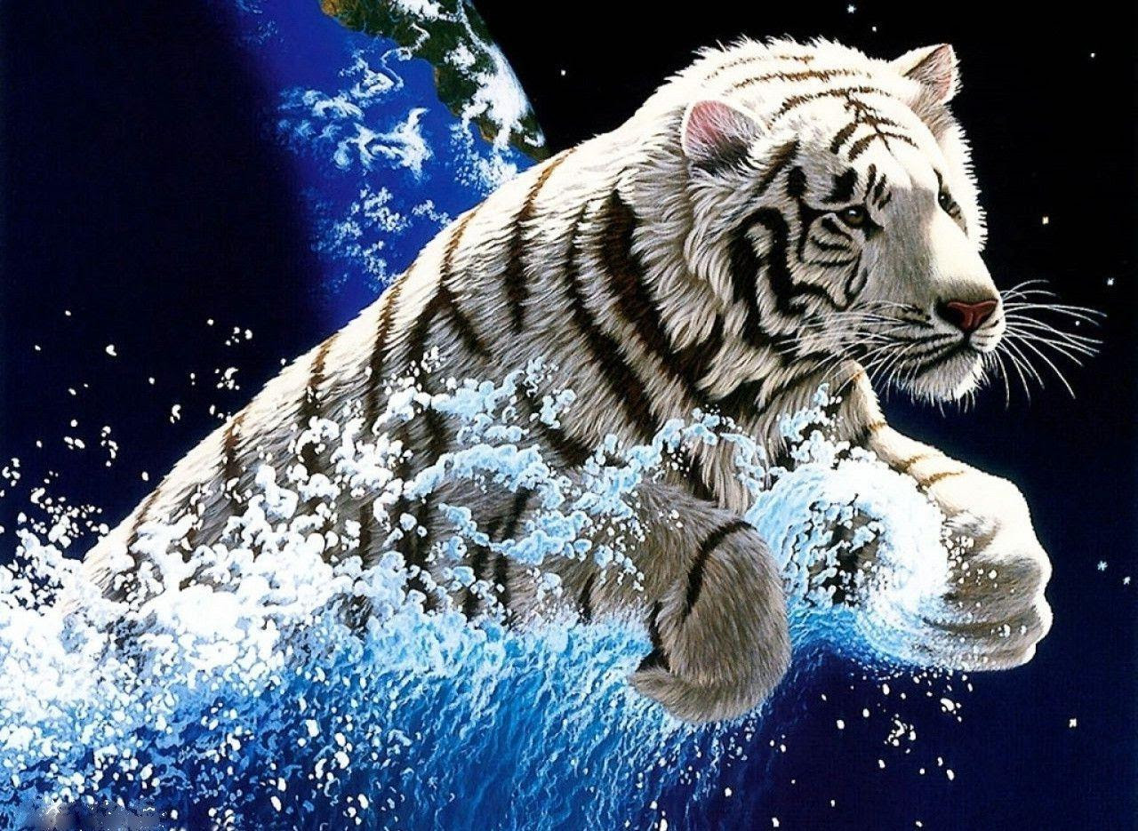 White Tiger Wallpapers Free Wallpaper Cave White Tiger Wallpapers Free Wallpaper Cave