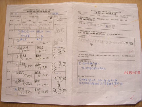 DSCN3297.JPG