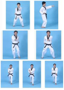 Cara belajar taekwondo sendiri di rumah