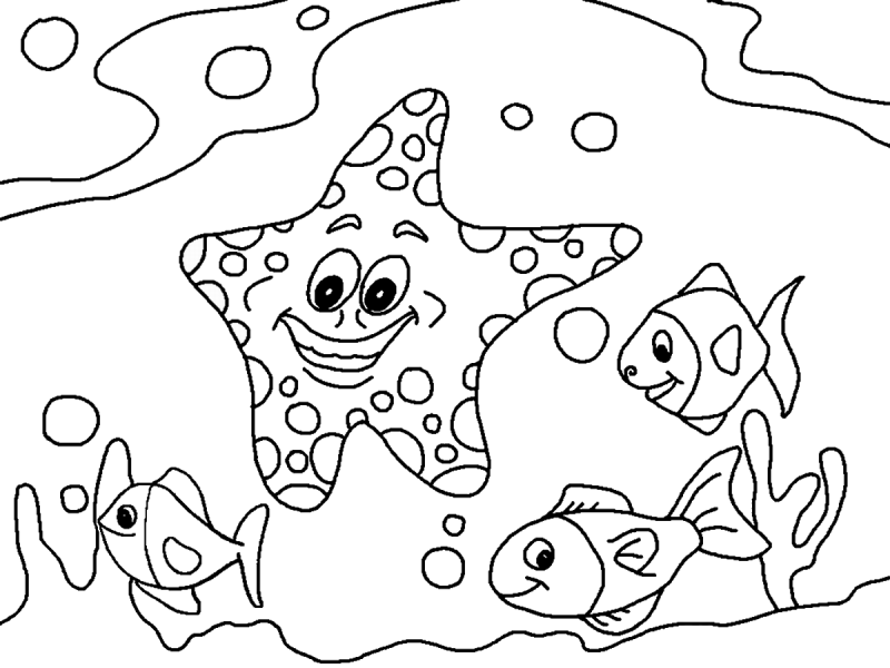 Gambar Ikan Anak Sd Kelas 3