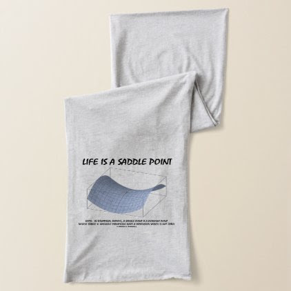 Life Is A Saddle Point Math & Geometry Humor Scarf