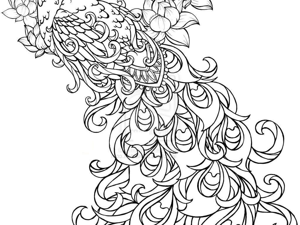 Featured image of post Free Printable Peacock Coloring Pages Coloring pages from favourite cartoons fairy tales games