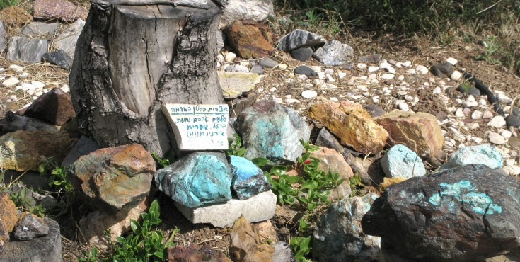 מסע לבטן האדמה: תולדות כדור הארץ, מבריאת העולם ועד להופעת האדם-אריה איתמר