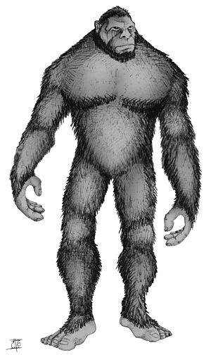 Bigfoot, as imagined by a Canadian artist.