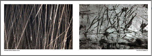 scratches