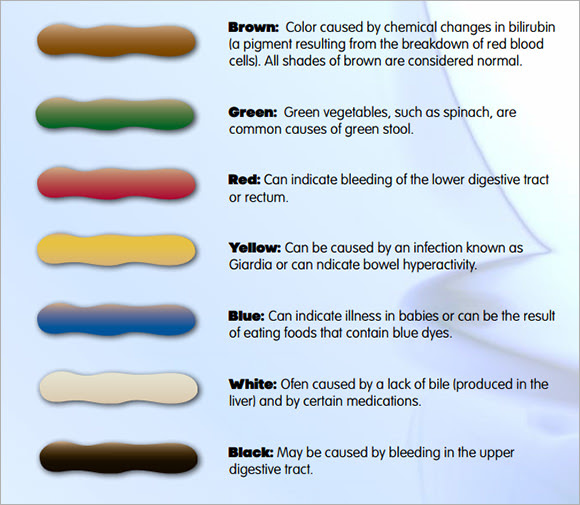 Poop Color Meaning Effy Moom