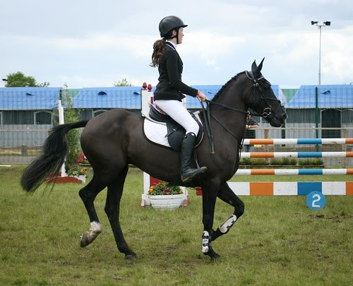 Showjumping