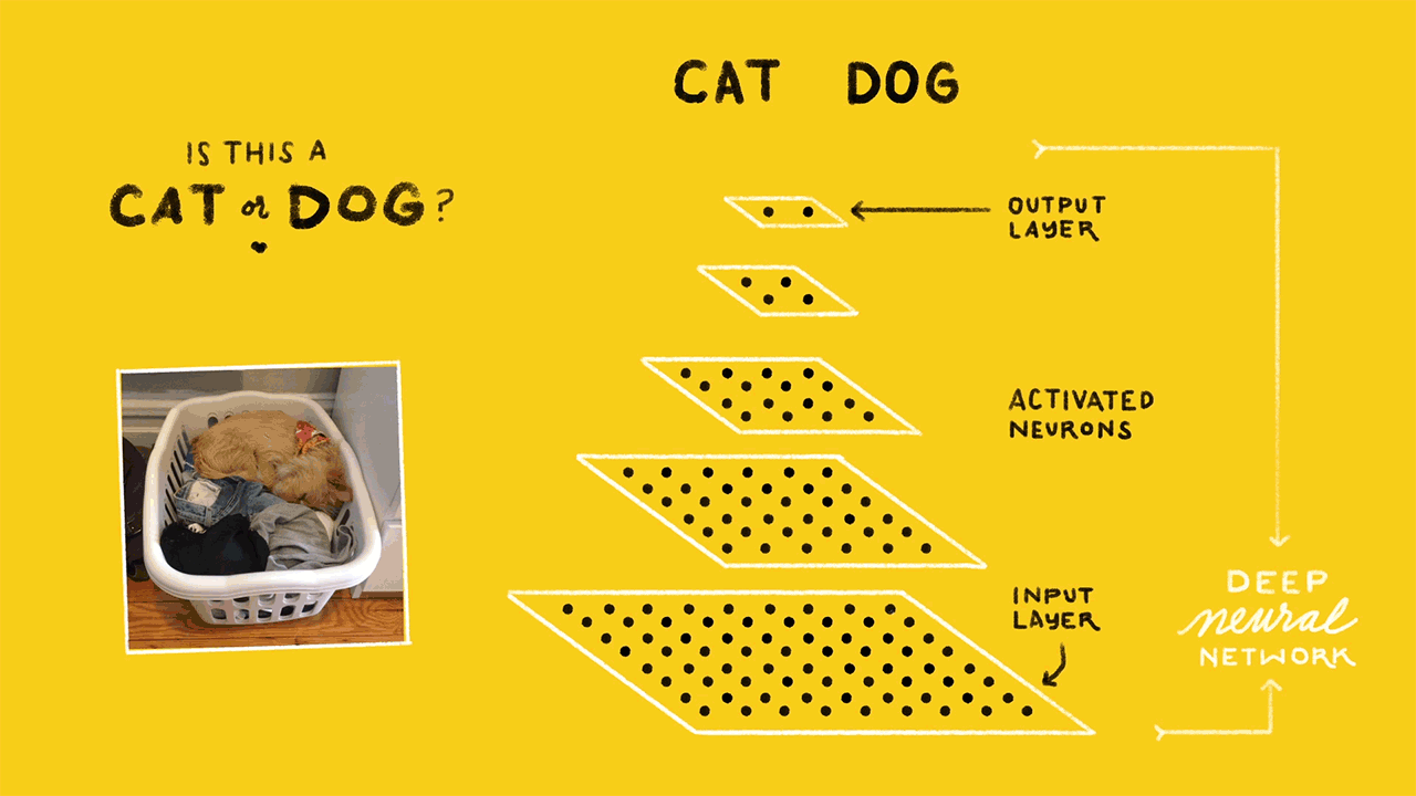 Infografica che mostra il funzionamento del Deep Neutral Network.
