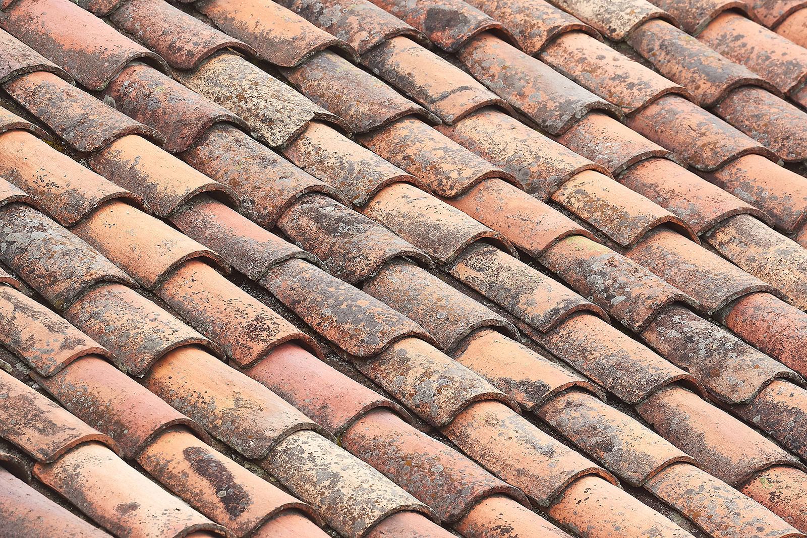 Roof stains shingles on Wisconsin home