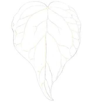 D:\0 wd yedek\acr yedek\1 film indirme\botanicheskaya_illyustraciya2_files\image126.jpg