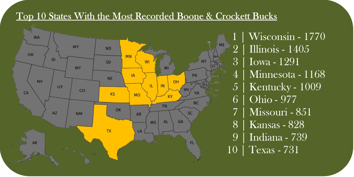 top 10 states with the most boone and crockett bucks all time. The biggest whitetail deer