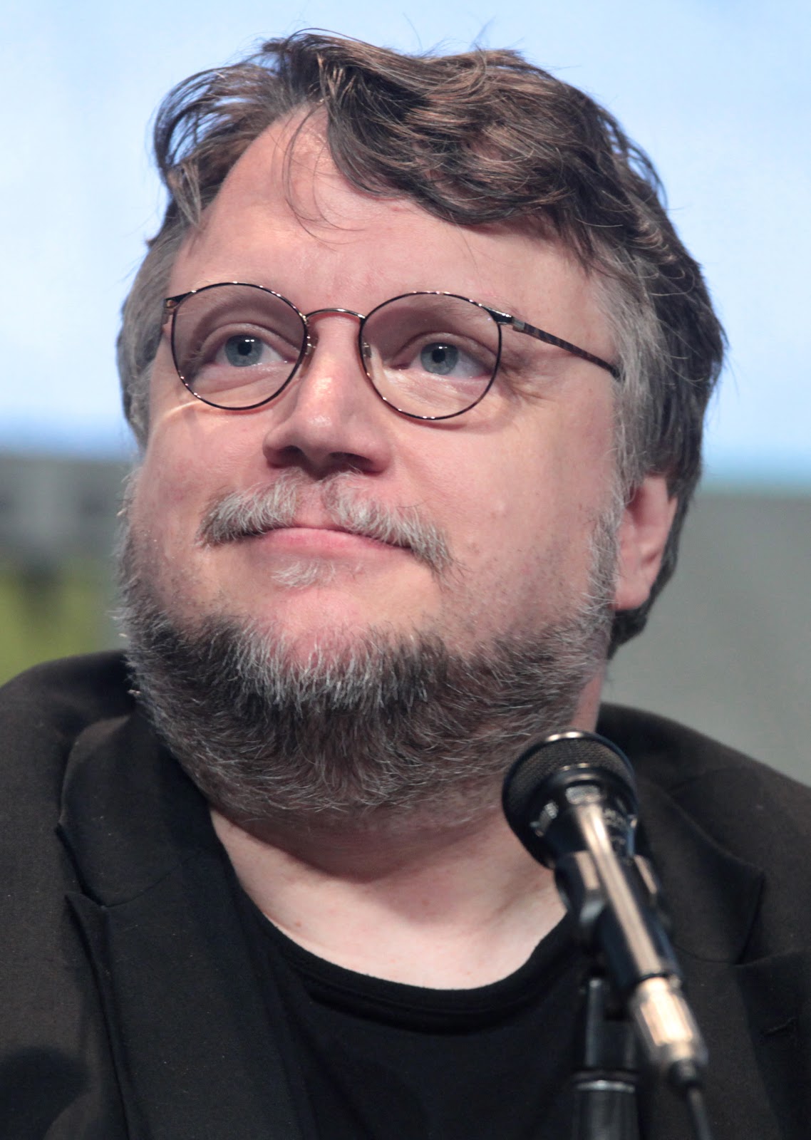 https://upload.wikimedia.org/wikipedia/commons/d/dd/Guillermo_del_Toro_by_Gage_Skidmore_3.jpg