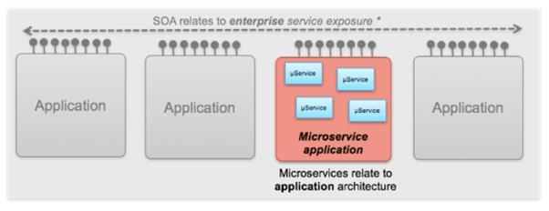 A schematic representation of microservices and SOA architectures