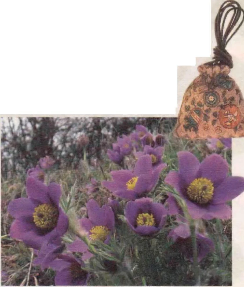 .ile birlikte/