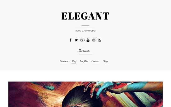WordPress Themes: Elegant