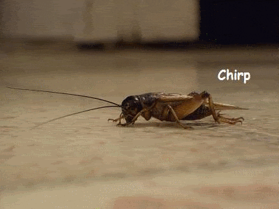 The sound of crickets on social media is an awful thing.