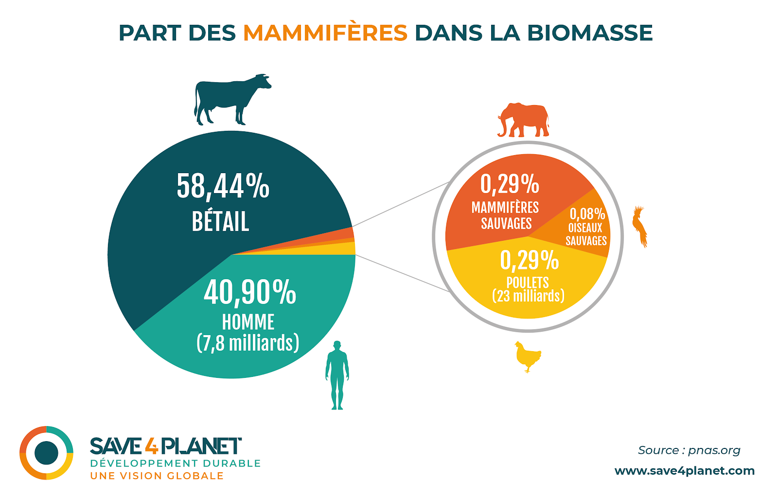 image part mammifere biomasse