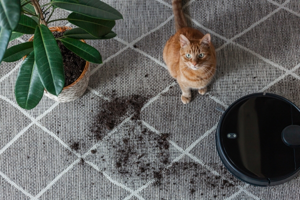 robot-vacuum-cleaner-cleaning-dirty-carpet-cat-home-plant