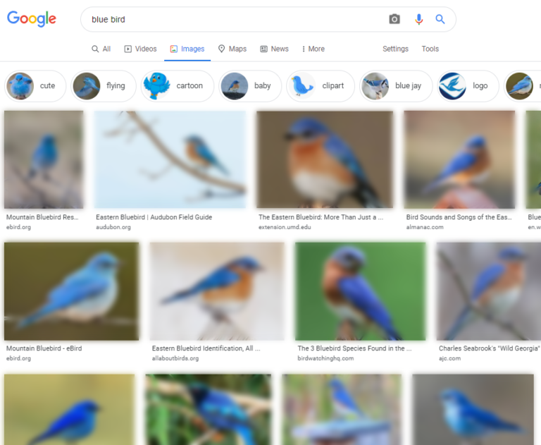 Công cụ tìm kiếm hình ảnh Google Image