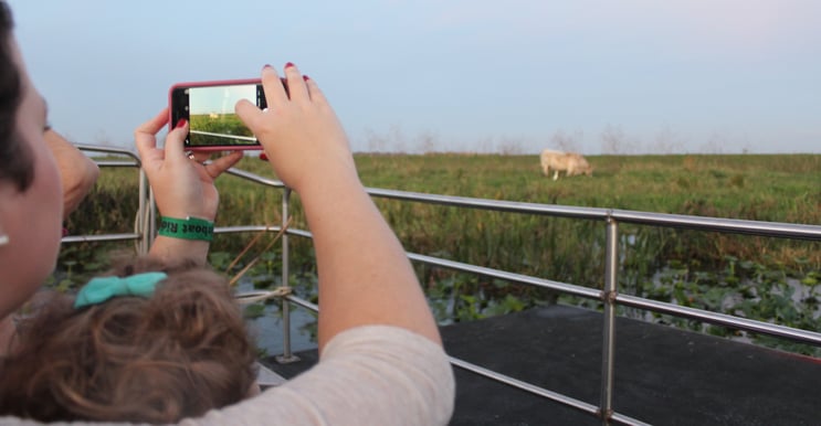 A mother and child take a photograph of an animal in the distance on one of Wild Florida's airboats.