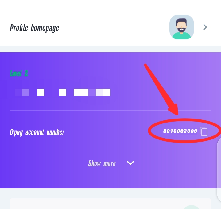Opay account number example
