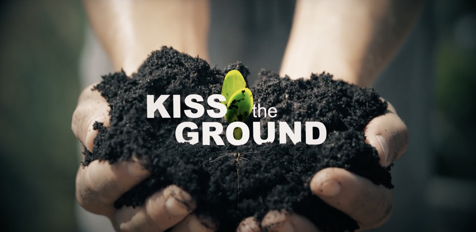 Kiss the Ground (Photo: FGS Asri)