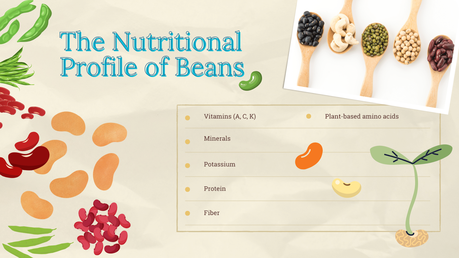 The nutritional profile of beans