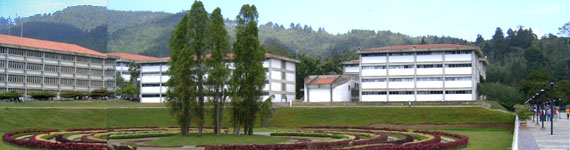 banner copia.jpg