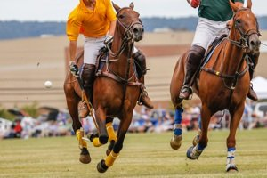 Federation of International Polo Rules & Procedures. Polo is a lively and thrilling team game that is played on horseback. One of the oldest known sports in the world, it is thought to have started in Persia.