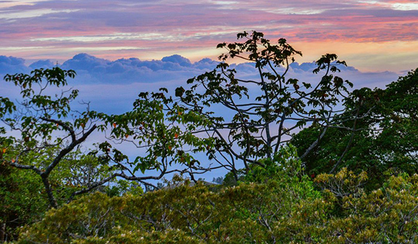 Weather each month in Monteverde