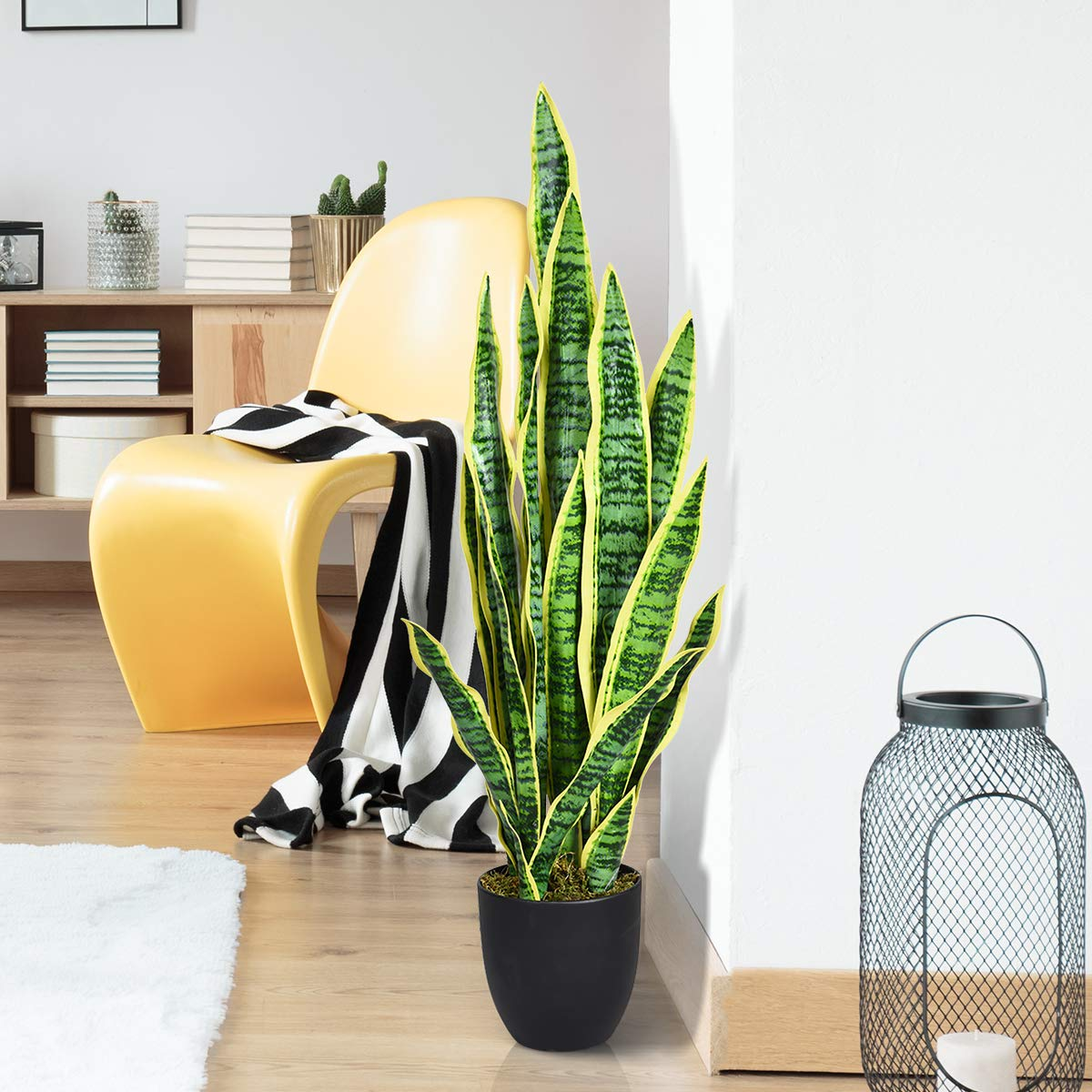 Green and yellow leaves of a snake plant brightening up a white living space