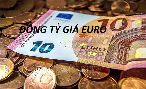 dong gia euro