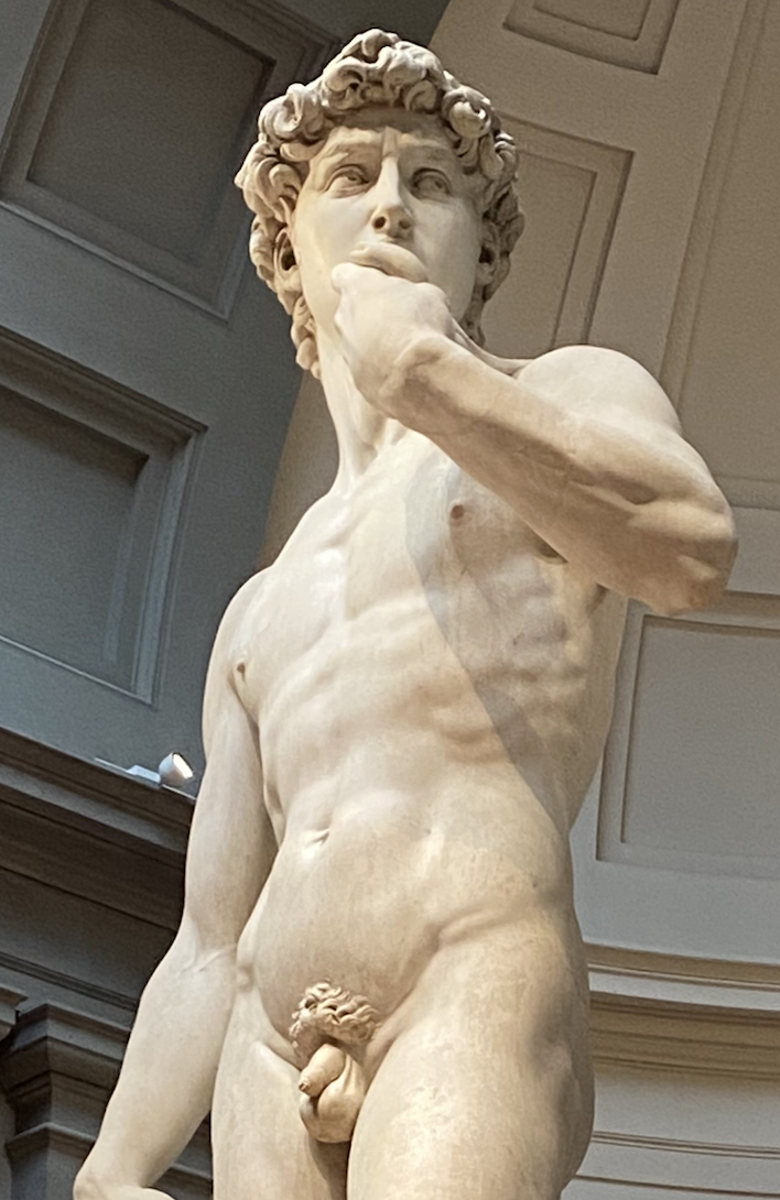 Michelangelo, David, c. 1501; marble