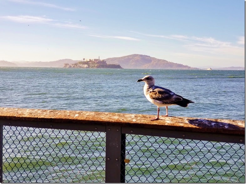 San Francisco Travel Instagram 2 (782x586)