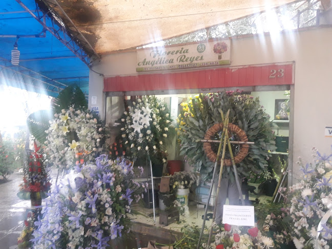 Opiniones de Floreria Angélica Reyes en Lima - Floristería