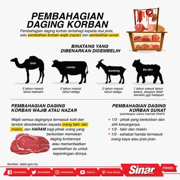 Cara Pembahagian Daging Korban 