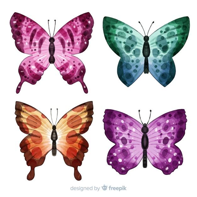 Colorful butterflies collection Free Vector